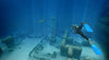 Endless Ocean: Blue World - Nintendo Wii [Pre-Owned] Video Games Nintendo   
