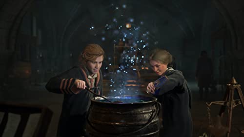 Hogwarts Legacy - (PS5) PlayStation 5 Video Games WB Games   