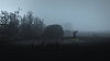 INSIDE / LIMBO Double Pack - (XB1) Xbox One [Pre-Owned] Video Games 505 Games   