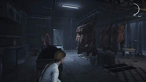 Remothered: Broken Porcelain - (PS4) PlayStation 4 [Pre-Owned] Video Games Modus   