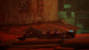 Stray - (PS4) PlayStation 4 Video Games iam8bit   
