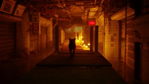 Stray - (PS4) PlayStation 4 Video Games iam8bit   