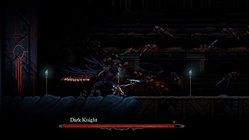 Death's Gambit: Afterlife - (NSW) Nintendo Switch [UNBOXING] Video Games Serenity Forge   