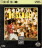 World Class Baseball - TurboGrafx-16 [Pre-Owned] Video Games NEC Interchannel   