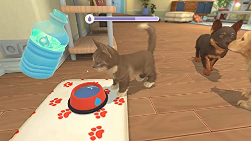 My Universe: Puppies and Kittens - (NSW) Nintendo Switch [UNBOXING] Video Games Maximum Games   