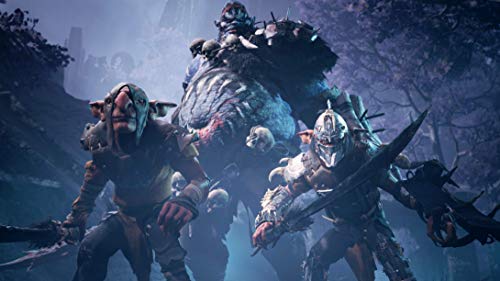 Dungeons & Dragons: Dark Alliance - (PS4) PlayStation 4 Video Games Deep Silver