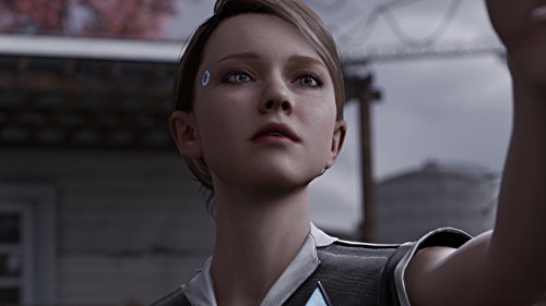 Detroit: Become Human - (PS4) PlayStation 4 [Pre-Owned] Video Games Sony Interactive Entertainment   