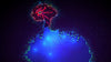 Carrion (Special Reserves Edition) - (NSW) Nintendo Switch Video Games Devolver Digital   