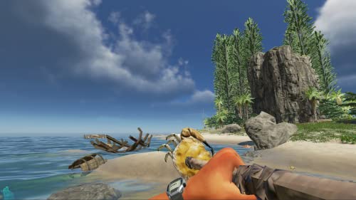 Stranded Deep - (NSW) Nintendo Switch [UNBOXING] Video Games Beam Team   