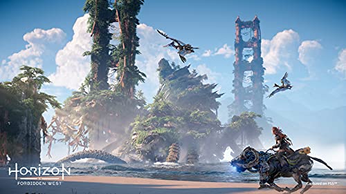 Horizon Forbidden West Regalla Edition - PS4 & PS5 Entitlements - (PS4) PlayStation 4 Video Games PlayStation   