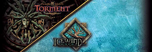 Planescape Torment & Icewind Dale: Enhanced Editions - PlayStation 4 Video Games Skybound Games   