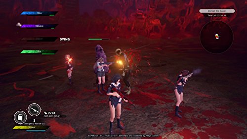 SG/ZH: School Girl Zombie Hunter - (PS4) PlayStation 4 [Pre-Owned] Video Games Aksys Games
