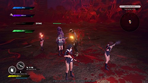 SG/ZH: School Girl Zombie Hunter - (PS4) PlayStation 4 [Pre-Owned] Video Games Aksys   