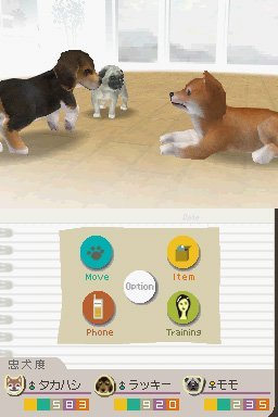 Nintendogs Lab & Friends - (NDS) Nintendo DS [Pre-Owned] Video Games Nintendo   