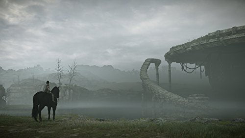 Shadow of the Colossus - (PS4) PlayStation 4 Video Games PlayStation   