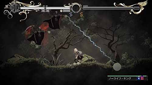 Record of Lodoss War: Deedlit in Wonder Labyrinth - (PS4) PlayStation 4 [UNBOXING] Video Games Red Art Games   
