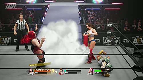 AEW: Fight Forever - (NSW) Nintendo Switch [Pre-Owned] Video Games THQ Nordic