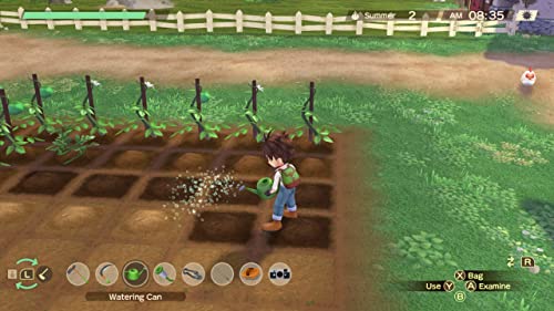 Story of Seasons: A Wonderful Life - (PS5) PlayStation 5 Video Games XSEED Games   