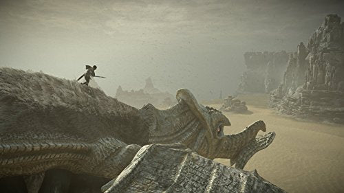 Shadow of the Colossus - (PS4) PlayStation 4 Video Games PlayStation   