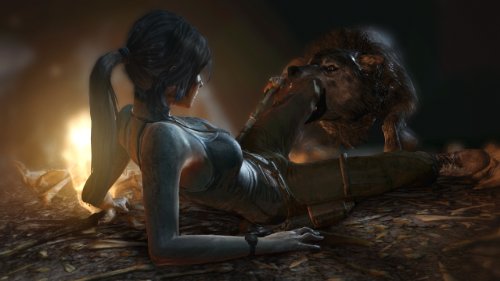 Tomb Raider (Collector's Edition) - (PS3) Playstation 3 Video Games Square Enix   