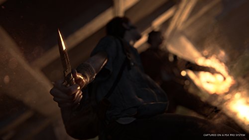 The Last of Us Part II Ellie Edition - (PS4) PlayStation 4 Video Games Naughty Dog   