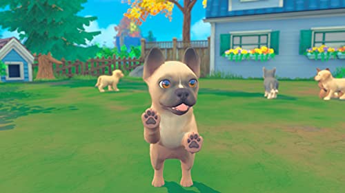 My Universe: Puppies and Kittens - (NSW) Nintendo Switch Video Games Maximum Games   