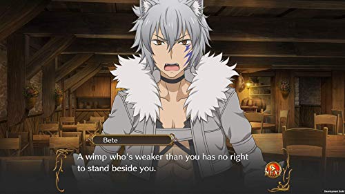 Is It Wrong to Try to Pick Up Girls in A Dungeon: Infinite Combat - PlayStation 4 Video Games PQube   