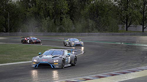 Assetto Corsa Competizione - (PS4) PlayStation 4 Video Games 505 Games   