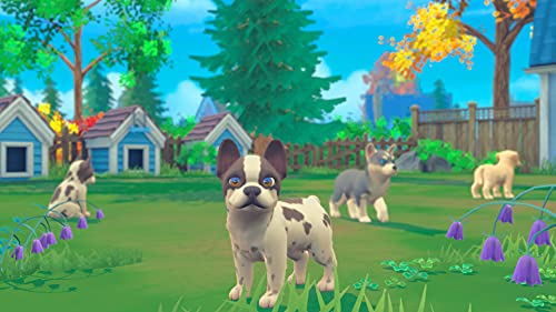 My Universe: Puppies and Kittens - (NSW) Nintendo Switch [UNBOXING] Video Games Maximum Games   
