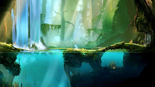 Ori and the Blind Forest: Definitive Edition - (NSW) Nintendo Switch [Pre-Owned] Video Games iam8bit   