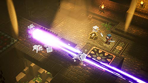 Minecraft Dungeons Hero Edition - (NSW) Nintendo Switch [Pre-Owned] Video Games Mojang AB   