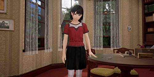 Summer Lesson: Allison Snow & Chisato Shinjo (Chinese & English Subtitle) - PlayStation 4 [Japanese Import] Video Games BANDAI NAMCO Entertainment   