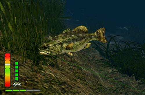 Bass Pro Shops: The Strike Championship Edition Bundle - (NSW) Nintendo Switch Video Games Planet Entertainment   