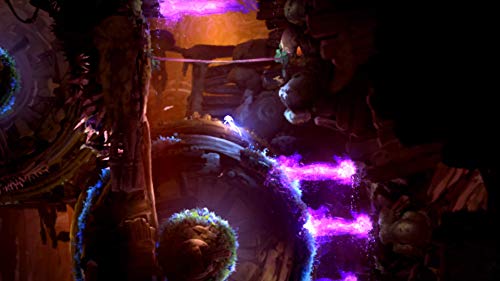 Ori and the Will of The Wisps - (NSW) Nintendo Switch Video Games iam8bit   