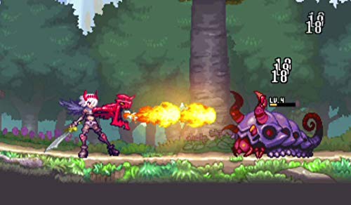 Dragon Marked for Death - (NSW) Nintendo Switch Video Games Nighthawk Interactive   