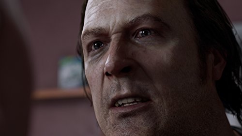Detroit: Become Human - (PS4) PlayStation 4 [Pre-Owned] Video Games Sony Interactive Entertainment   