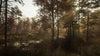 Chernobylite - (PS5) PlayStation 5 Video Games Perpetual   