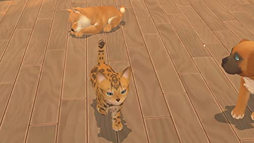 My Universe: Puppies and Kittens - (NSW) Nintendo Switch [UNBOXING] Video Games Maximum Games   
