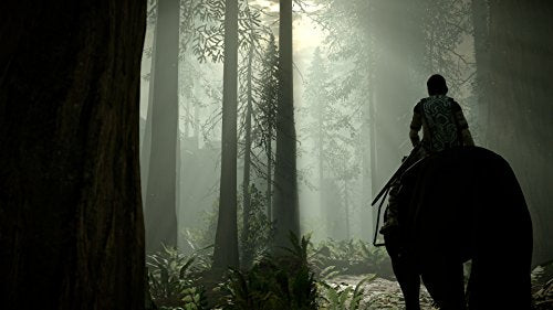 Shadow of the Colossus - (PS4) PlayStation 4 Video Games PlayStation   