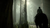 Shadow of the Colossus - (PS4) PlayStation 4 [Pre-Owned] Video Games PlayStation   