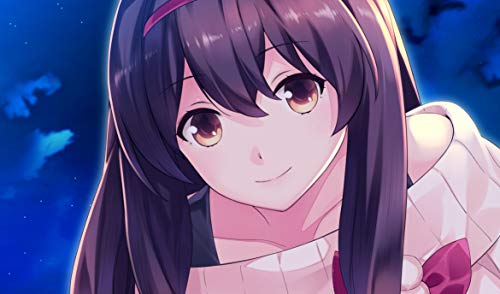 Gun Gun Pixies - (NSW) Nintendo Switch Video Games PQube   