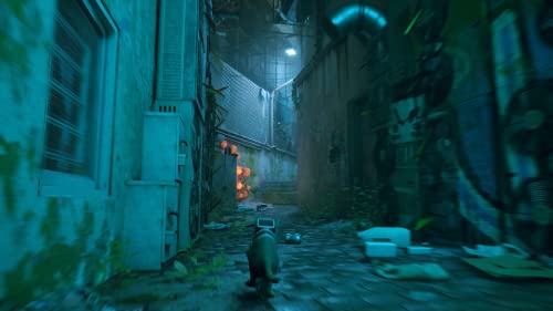 Stray - (PS4) PlayStation 4 Video Games iam8bit   