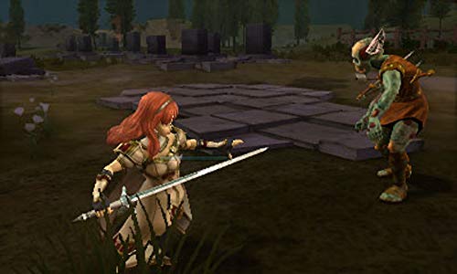 Fire Emblem Echoes: Shadows of Valentia - Nintendo 3DS Video Games Nintendo   