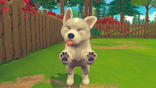 My Universe: Puppies and Kittens - (NSW) Nintendo Switch Video Games Maximum Games   