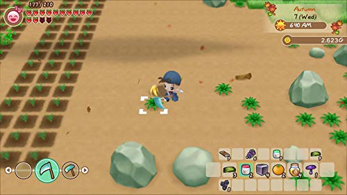 Story of Seasons: Friends of Mineral Town - (NSW) Nintendo Switch Video Games XSEED Games   