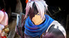 Tales of Arise - (XSX) Xbox Series X Video Games BANDAI NAMCO Entertainment   