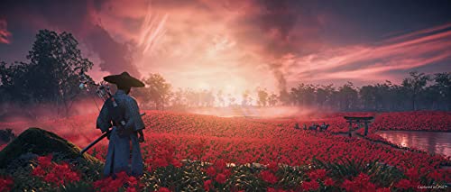Ghost of Tsushima Director's Cut - (PS5) PlayStation 5 [Pre-Owned] Video Games Sony Interactive Entertainment   
