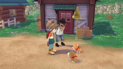 Story of Seasons: A Wonderful Life (Premium Edition) - (PS5) PlayStation 5 Video Games XSEED Games   