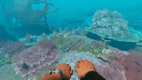 Stranded Deep - (NSW) Nintendo Switch [UNBOXING] Video Games Beam Team   