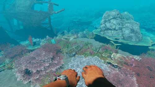Stranded Deep - (NSW) Nintendo Switch [UNBOXING] Video Games Beam Team   